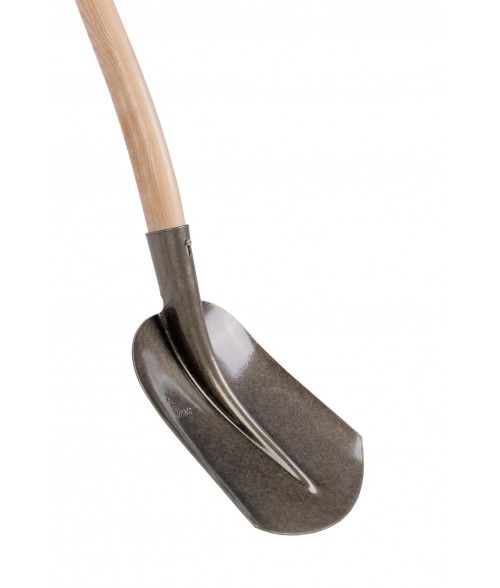 Pelles holandaise