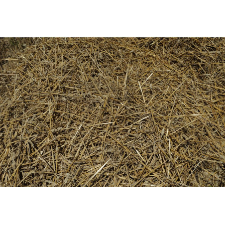 Botte de paille - 36 x 46 x 120 cm